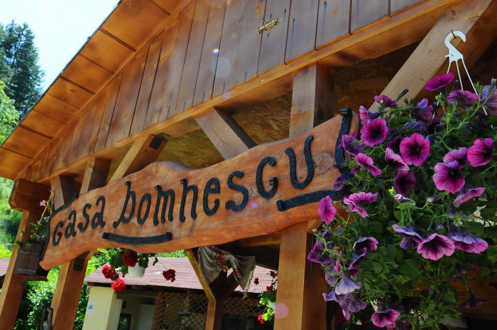 Pensiunea Domnescu เซอลิชเต ภายนอก รูปภาพ